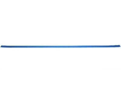 220702 PRICEHOLDER BLUE STRIP L
