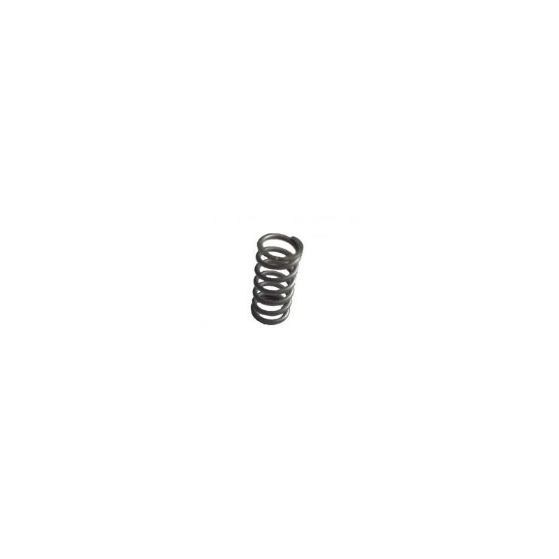 10081376 MOLLA PISTONE ø 6,5×13 mm